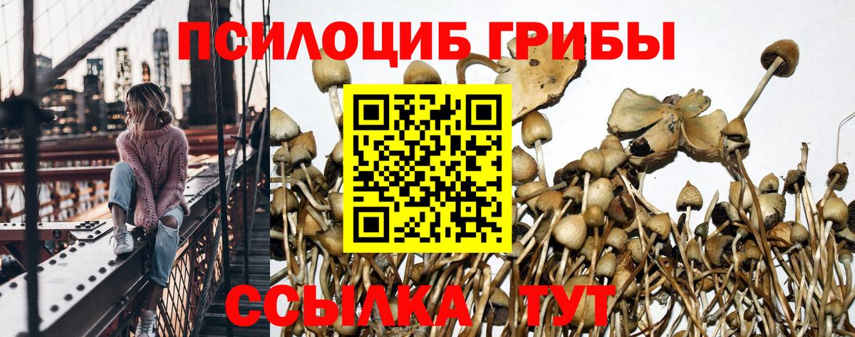 Псилоцибиновые грибы Magic Shrooms  Вход с VPN  Чебоксары 