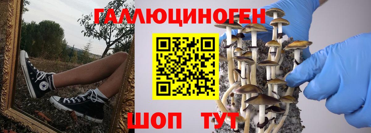 Псилоцибиновые грибы MAGIC MUSHROOMS Чебоксары